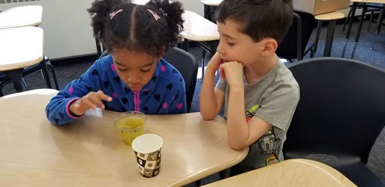 Emilie and Nolan exploring why raisins float 