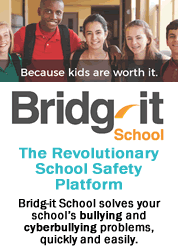 Bridg-it