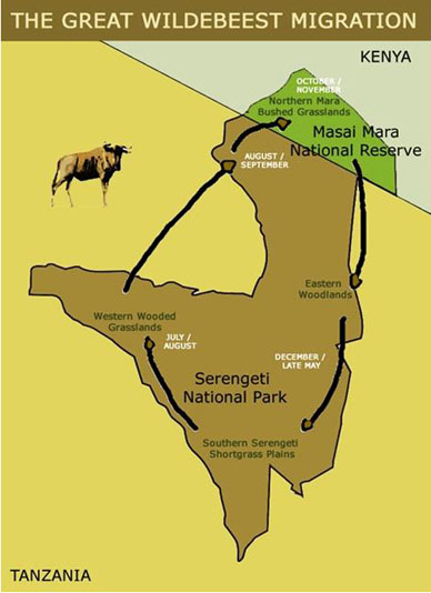 serengeti migration.jpg